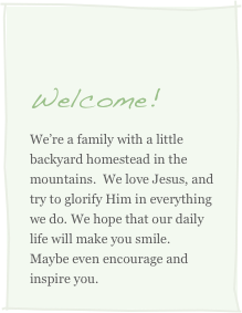 
Welcome!
We’re a family with a little backyard homestead in the mountains.  We love Jesus, and try to glorify Him in everything we do. We hope that our daily life will make you smile.  Maybe even encourage and inspire you.